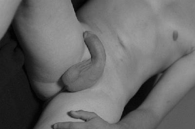 Sexinserat: Meldet euch egal wie mollig und wie alt - Er sucht Sie