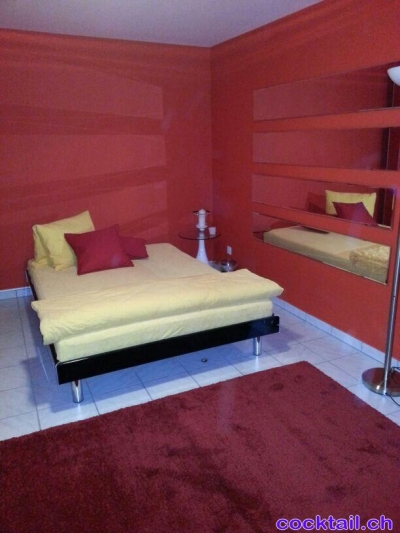 Sexinserat: Zimmer und Wohnungen für Erotikgewerbe zu vermieten - Job/ Miete/ Geld in Zürich